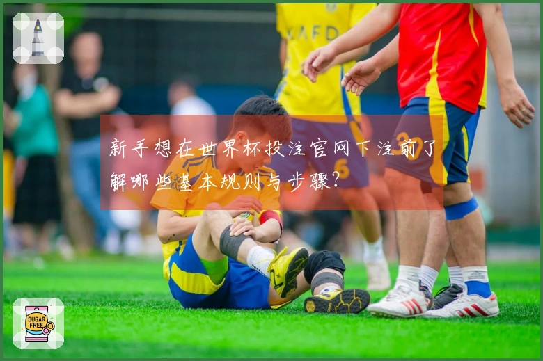 新手想在世界杯投注官网下注前了解哪些基本规则与步骤？