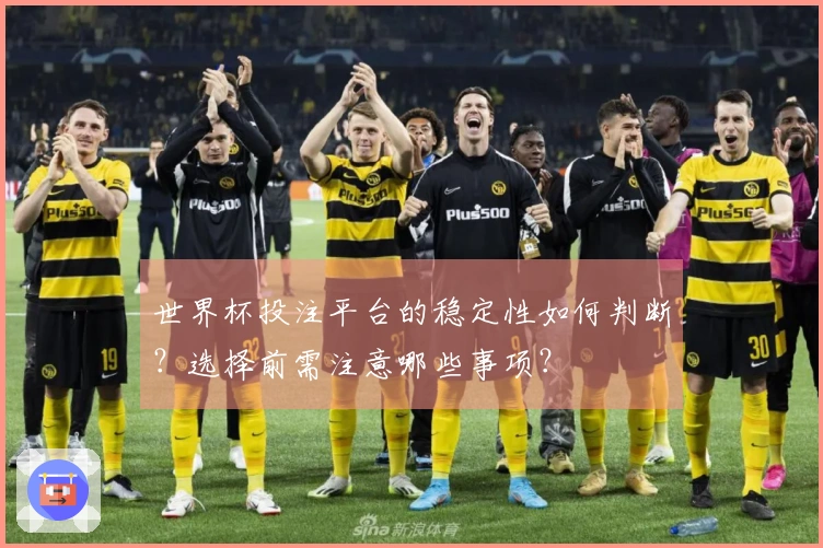 世界杯投注平台的稳定性如何判断？选择前需注意哪些事项？