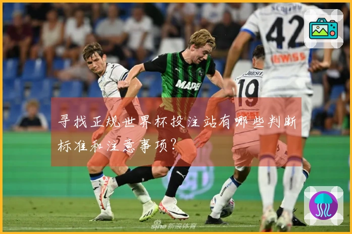 寻找正规世界杯投注站有哪些判断标准和注意事项？